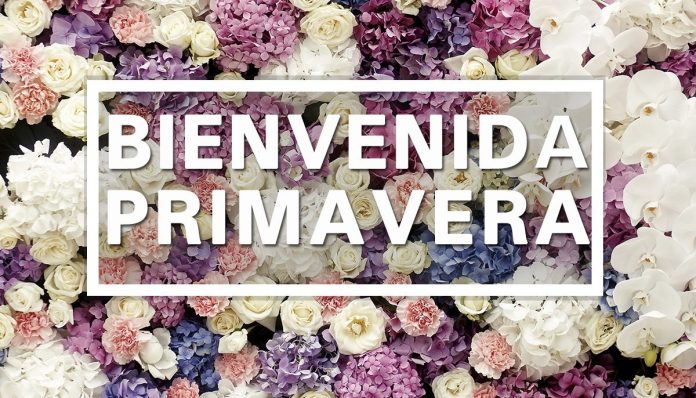 ¡Haz que se sienta la primavera en tu hogar!