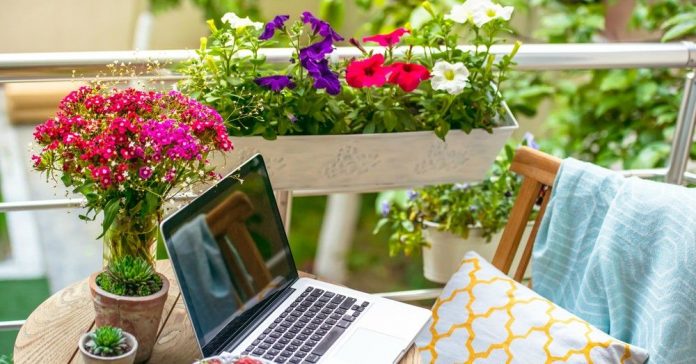 Como cuidar tus plantas para balcón en invierno